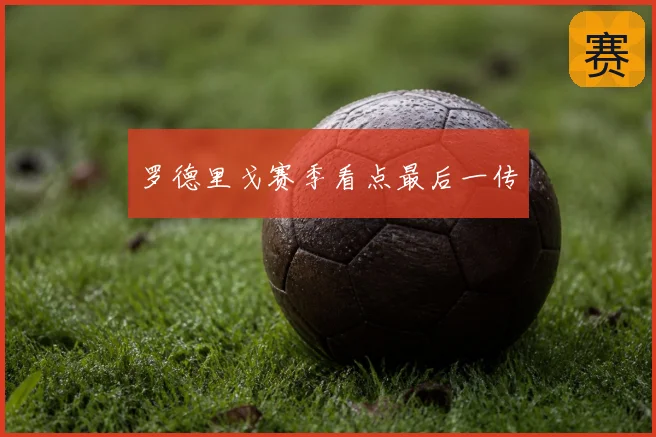 罗德里戈赛季看点最后一传
